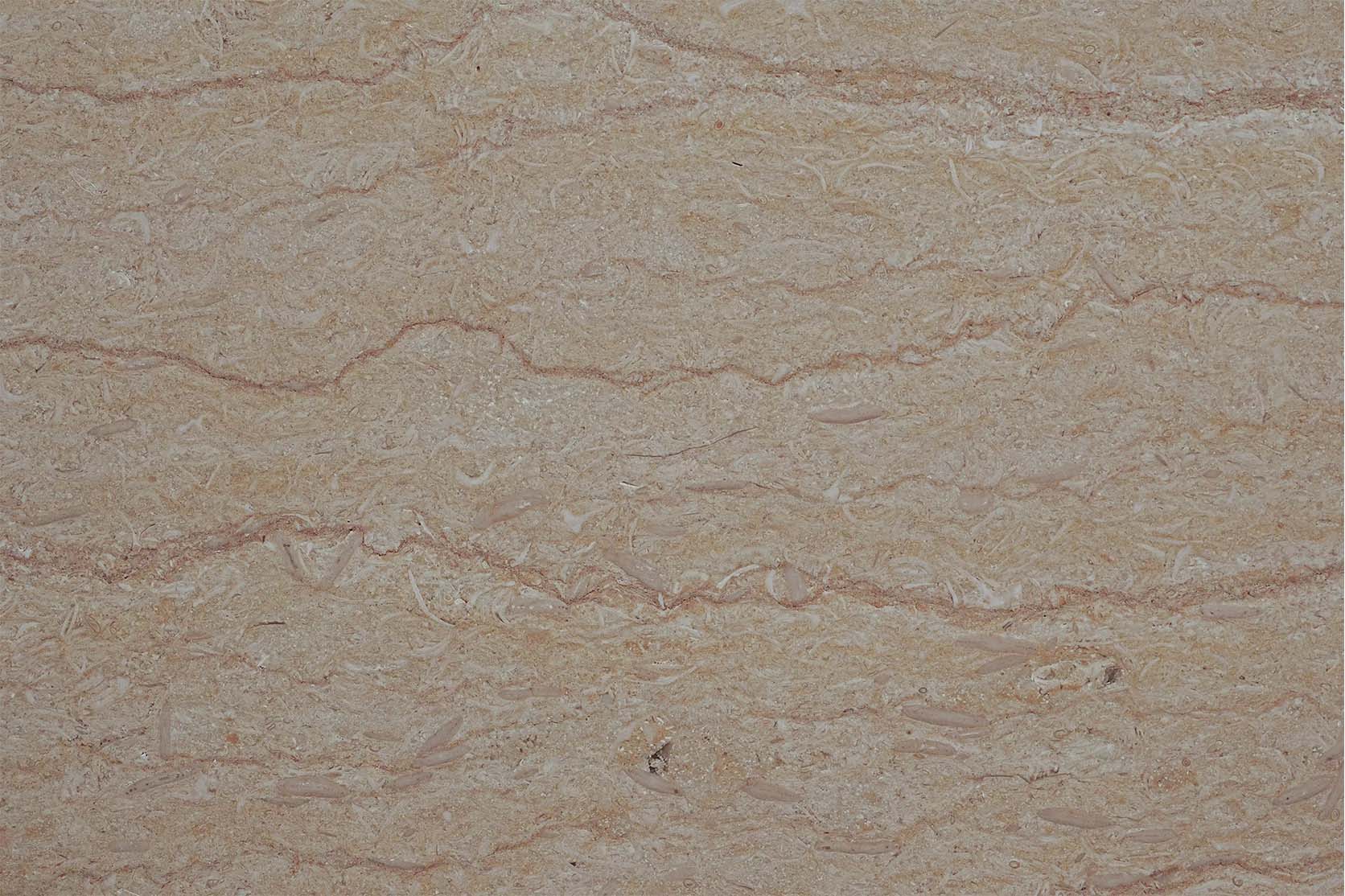 Selvia Menia Sandblasted Marble
